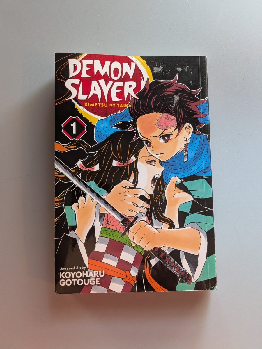 Demon Slayer Manga Vol 1 Inglese