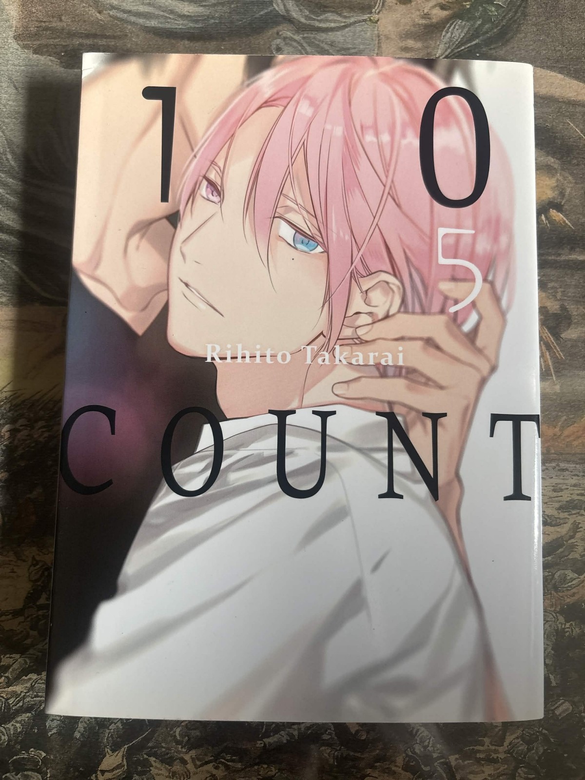 10 Count | Vol 5 | Rihito Takarai | Manga Adulte Hentai Yaoi | FR |