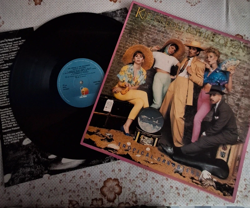 Disco vinil