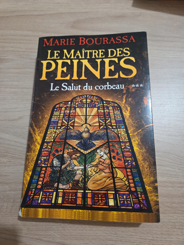 Roman - Le Maître des peines, Tome 3 : Le Salut du corbeau