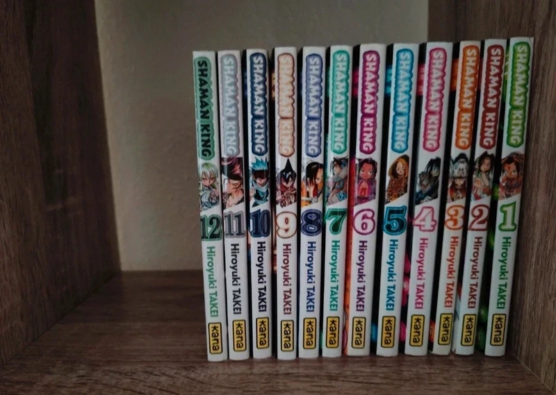 Lot Manga Shaman King 1-12