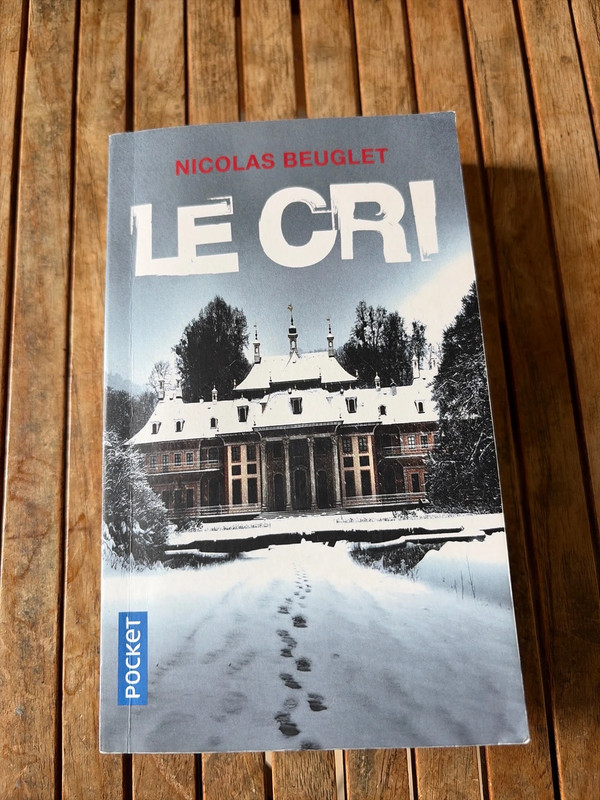 Le cri Nicolas Beuglet