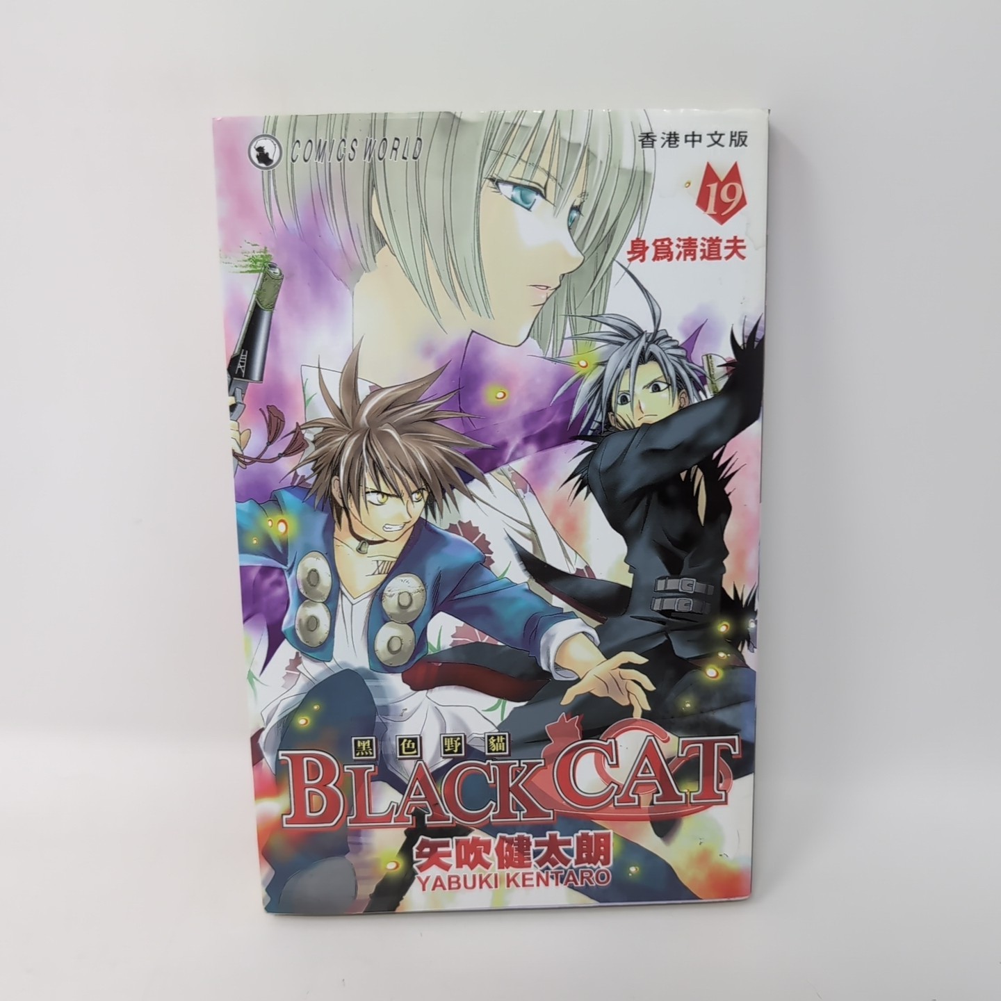 Black Cat Volume 19 Manga Vol Kentaro Yabuki [Japanese] Paperback Pool Slipcover