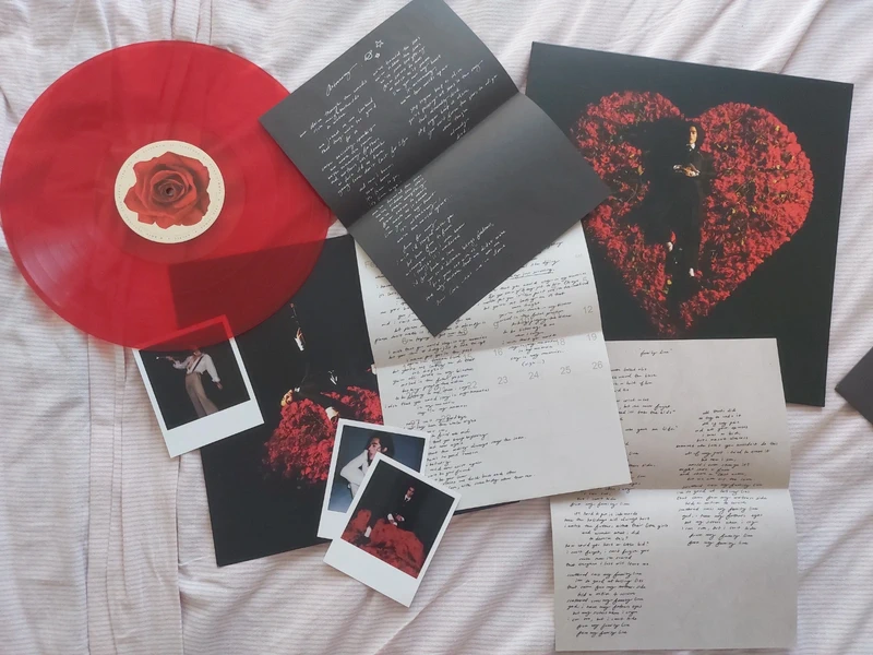 Vinyl Superache - Conan Gray