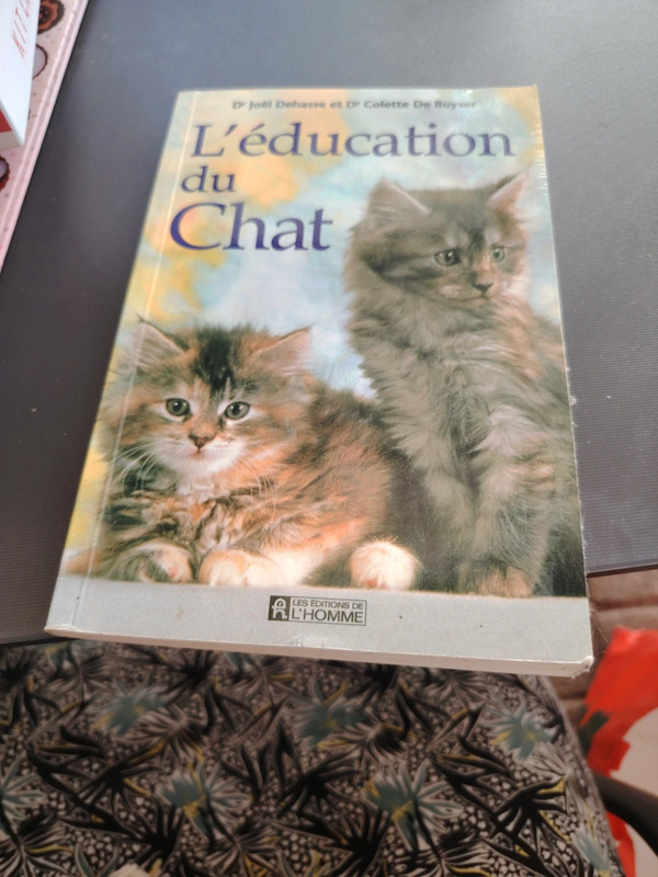 L éducation du chat