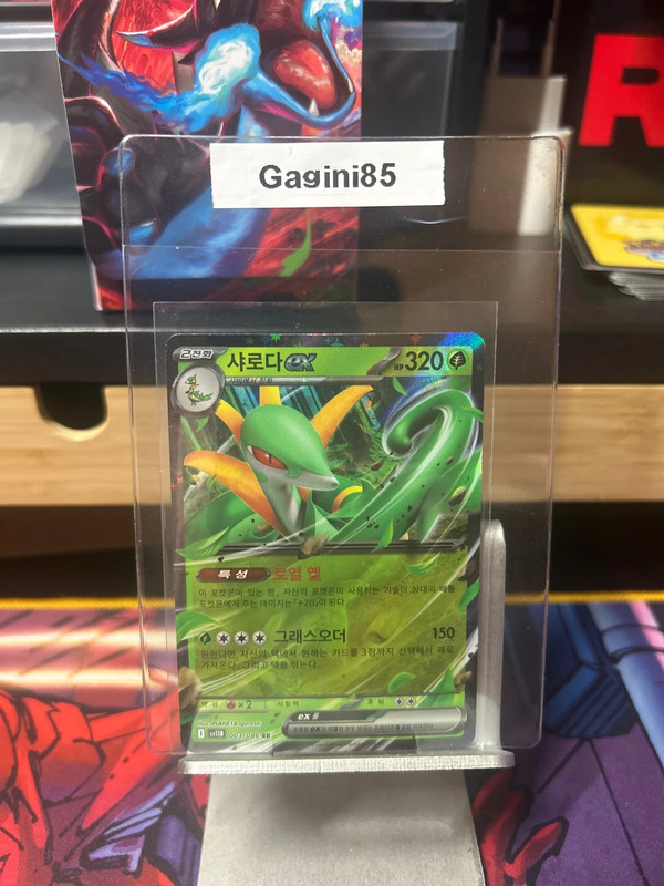 SV11B - Japon - Holo