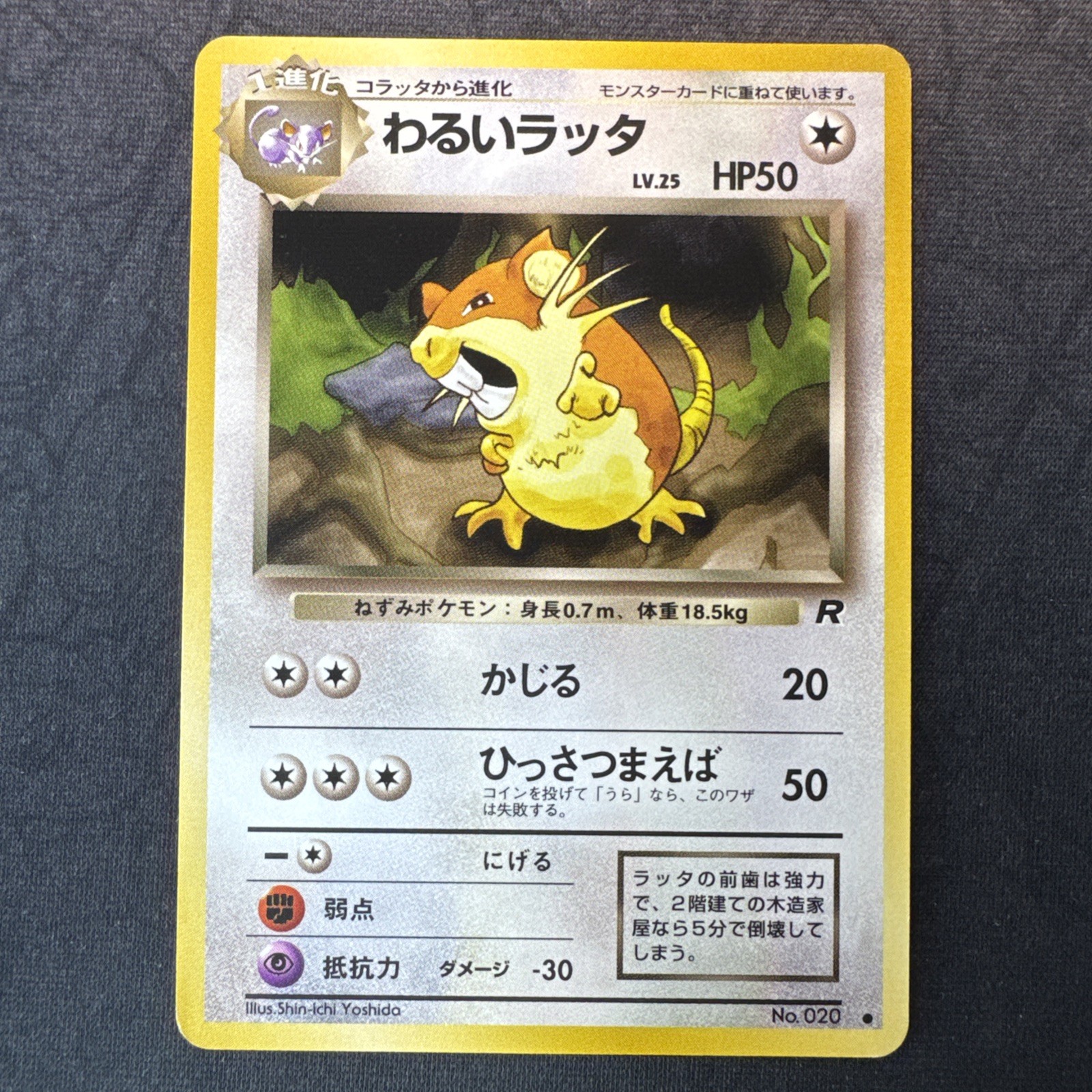 Dark Raticate Rocket Gang Regular (giapponese) Pokemon