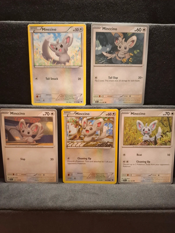 Minccino 5x