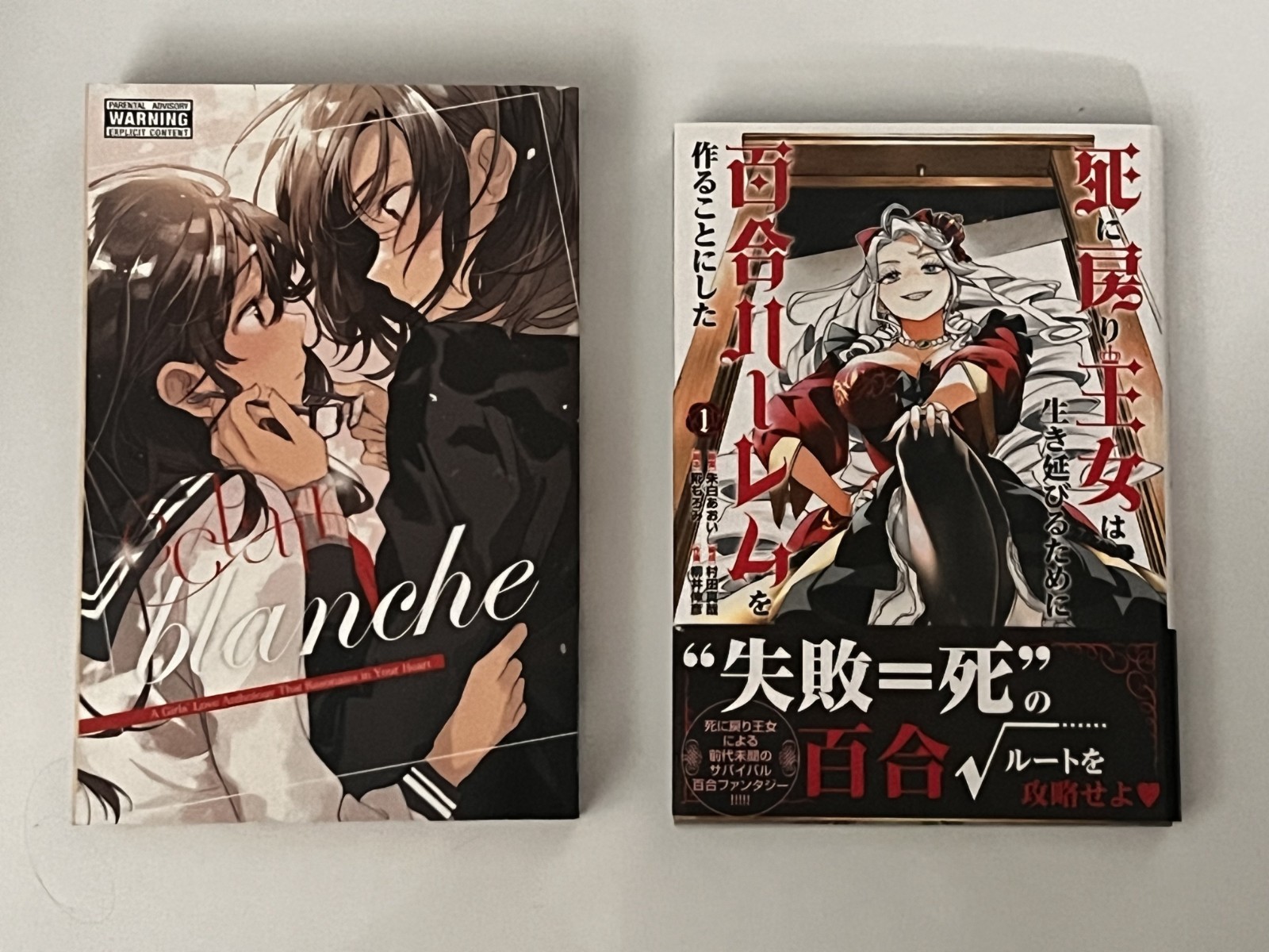 Lotto di 2 manga Doujin / Doujinshi - Yuri, lingua mista, R18, lotto B