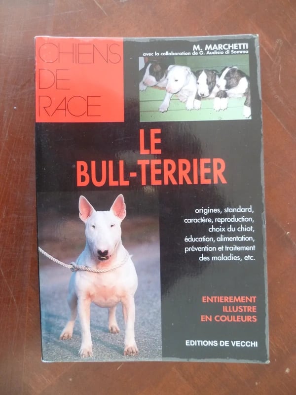 Le Bull-Terrier, par M Marchetti