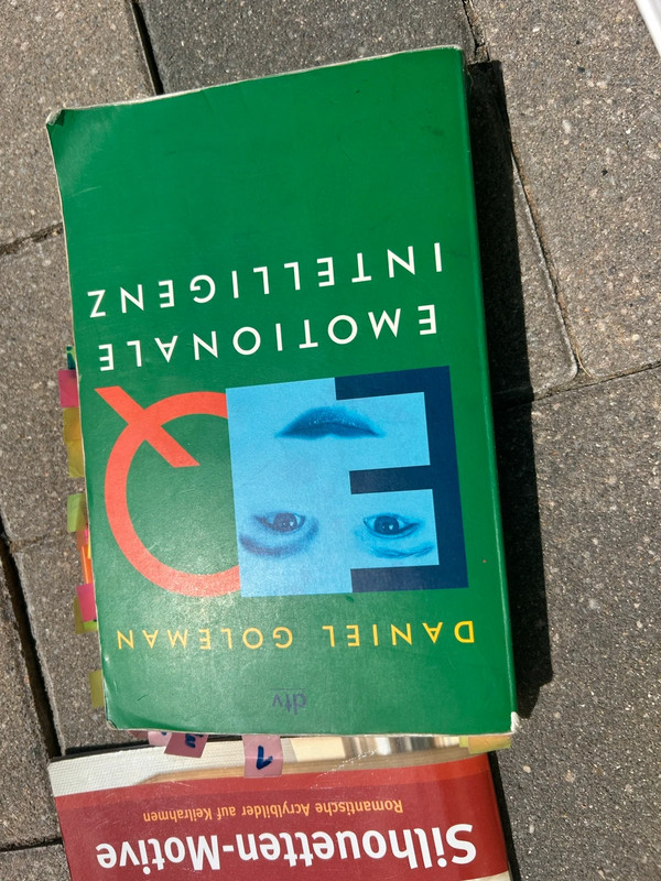 Emotionale Intelligenz Buch