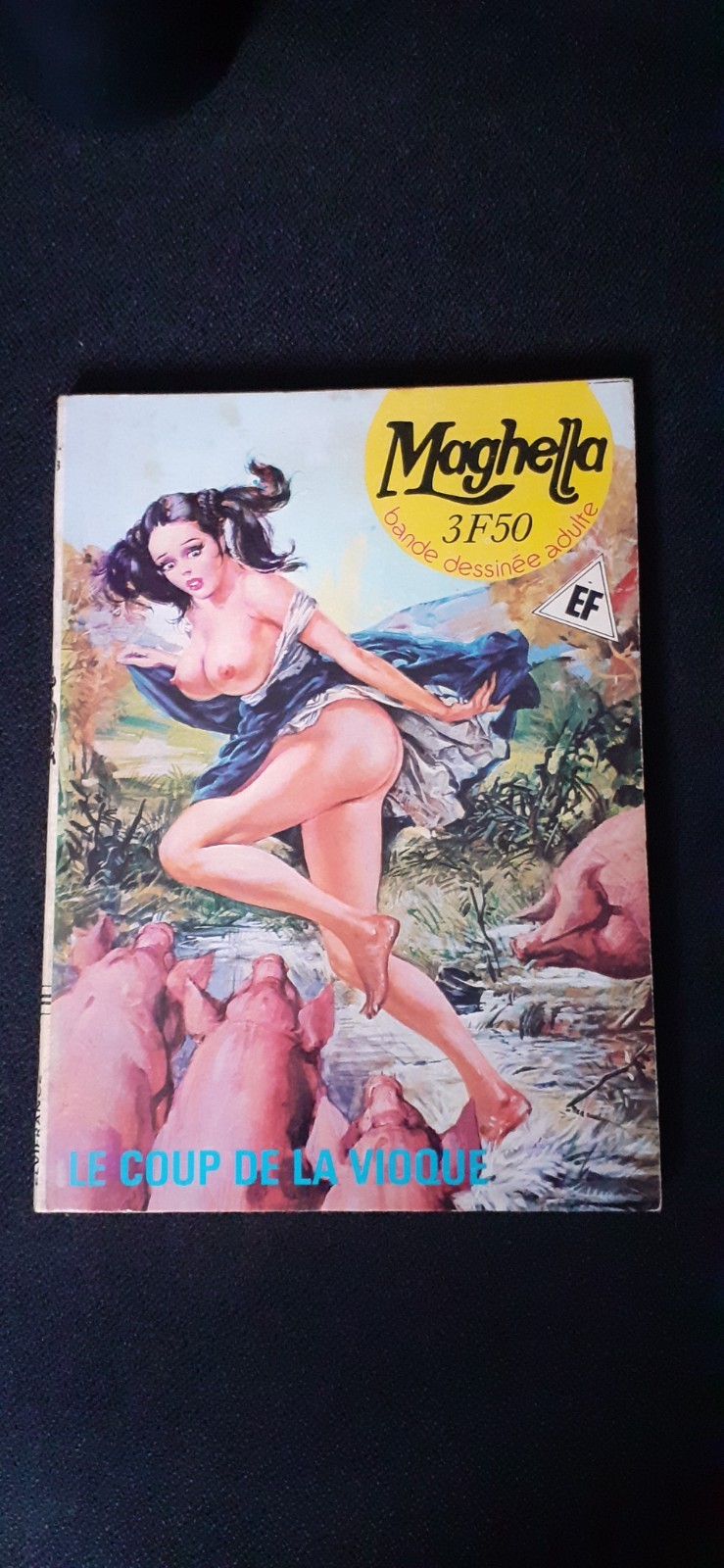 ELVIFRANCE  MAGHELLA    N°73   1979   TRES BON ETAT