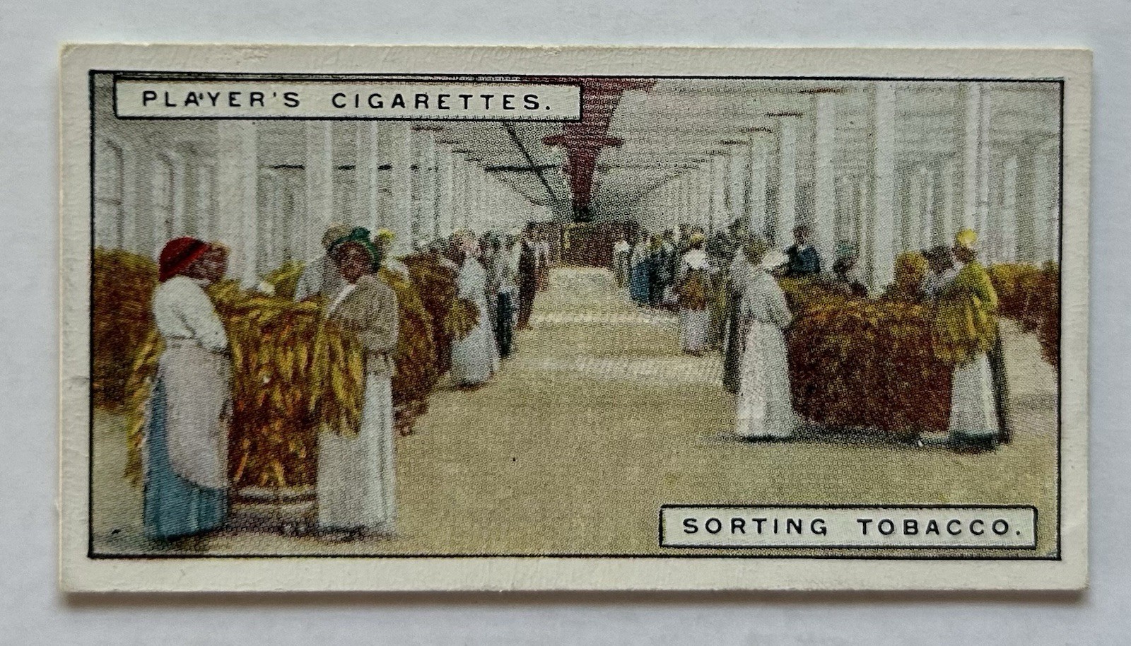 Player’s Tobacco Card Sorting Tobacco Factory Interior Scene #16 CC5