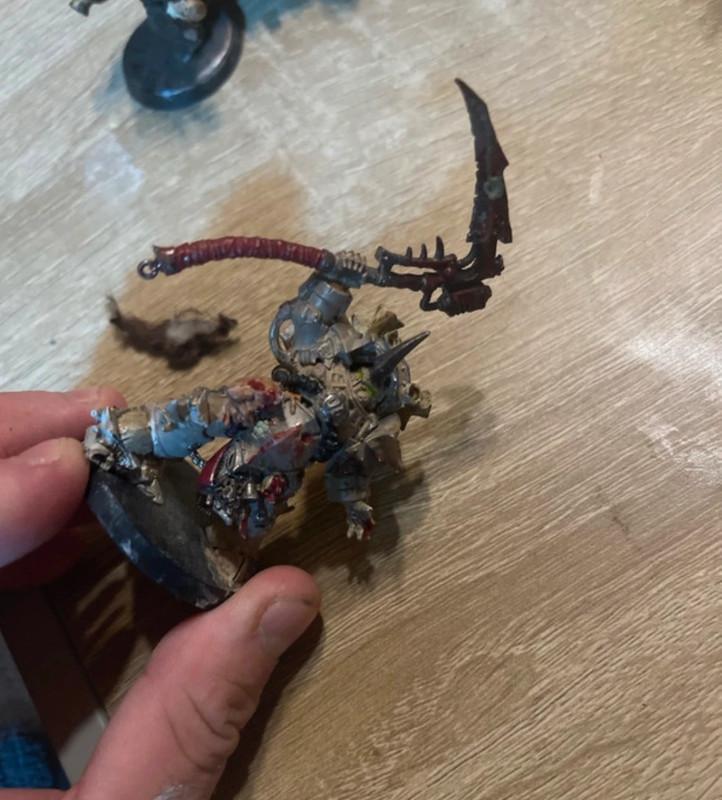 warhammer typhus
