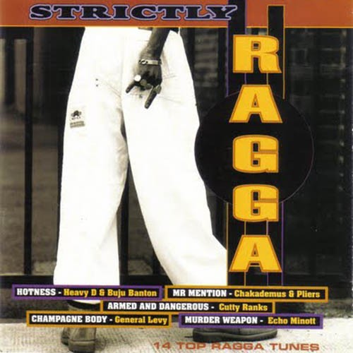Various - Strictly Ragga (LP, Comp) (Very Good Plus (VG+)) - 3659205618