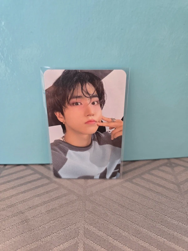 Stray Kids Dominate Celebrate Han PC