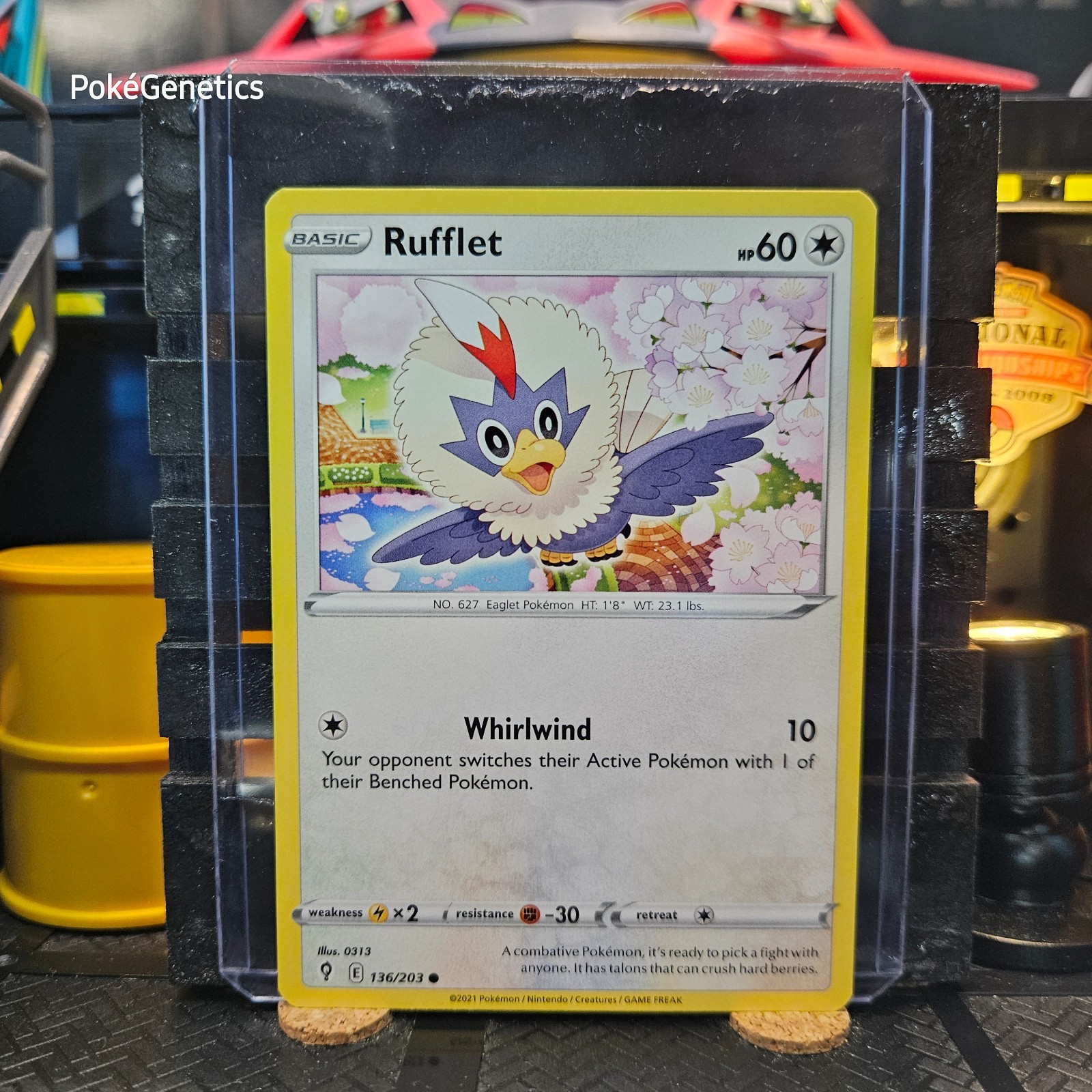 Rufflet Evolving Skies Pokémon TCG 136/203 Spada e Scudo SWSH07 Comune