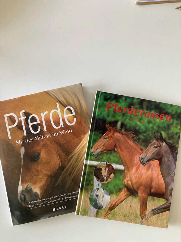 2 Pferdebücher für Kinder