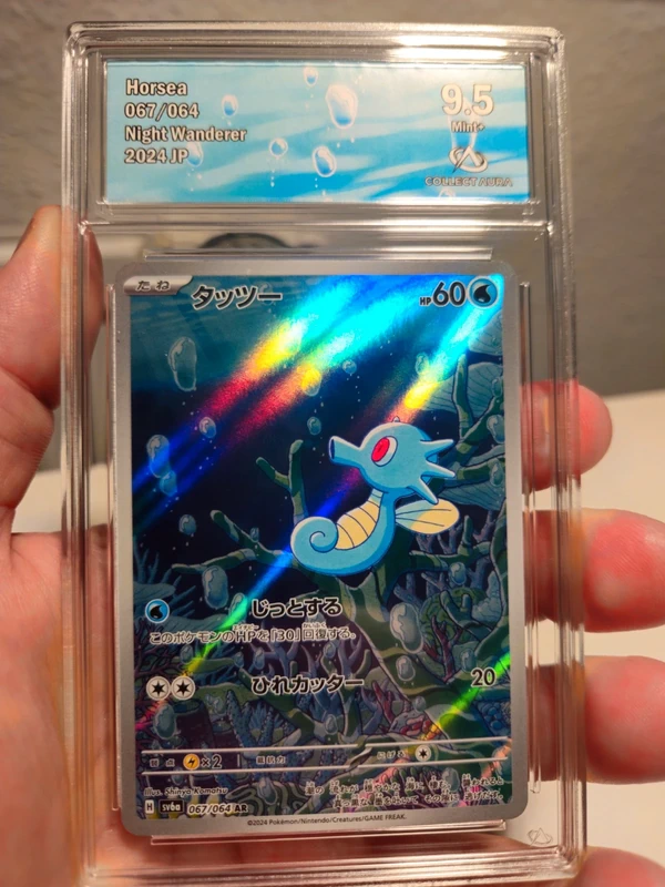 Seeper Collect Aura 9,5 Japanisch
