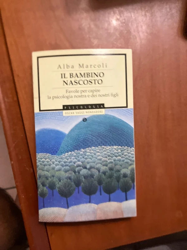 Il bambino nascosto