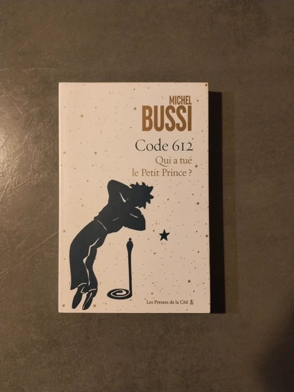 Code 612 : Qui a tué le Petit Prince – Michel Bussi