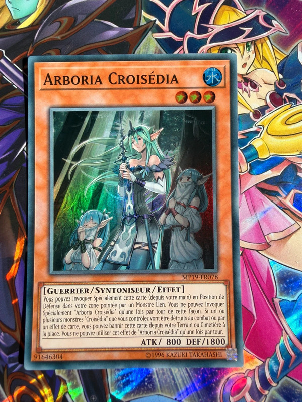Arboria croisédia