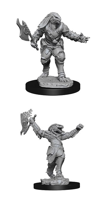WIZKIDS D&D Nolzur's Marvelous Miniatures  Female Dragonborn Fighter  Rpg Miniat