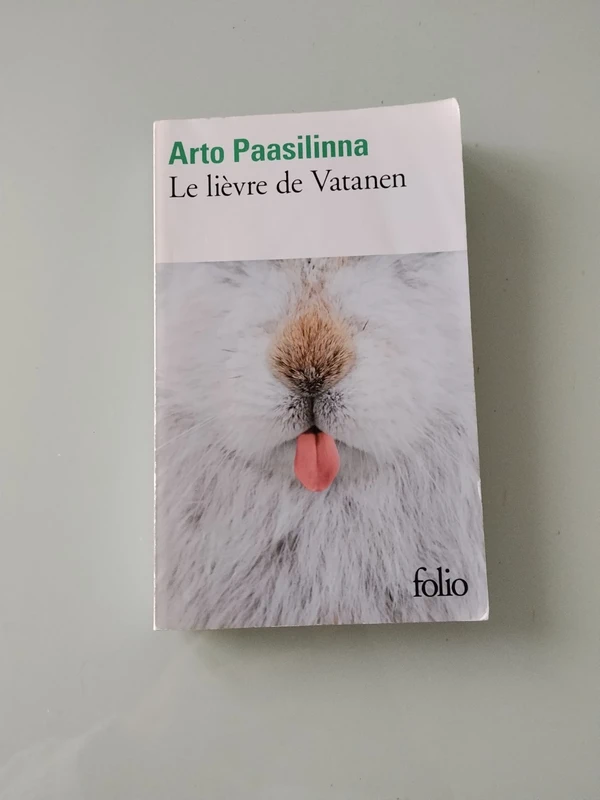 Le lièvre de Vatanen