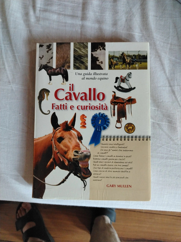 Libro
