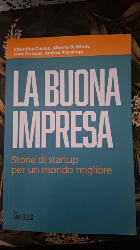 La buona impresa - Cucino, Di Minin, Ferrucci, Piccaluga