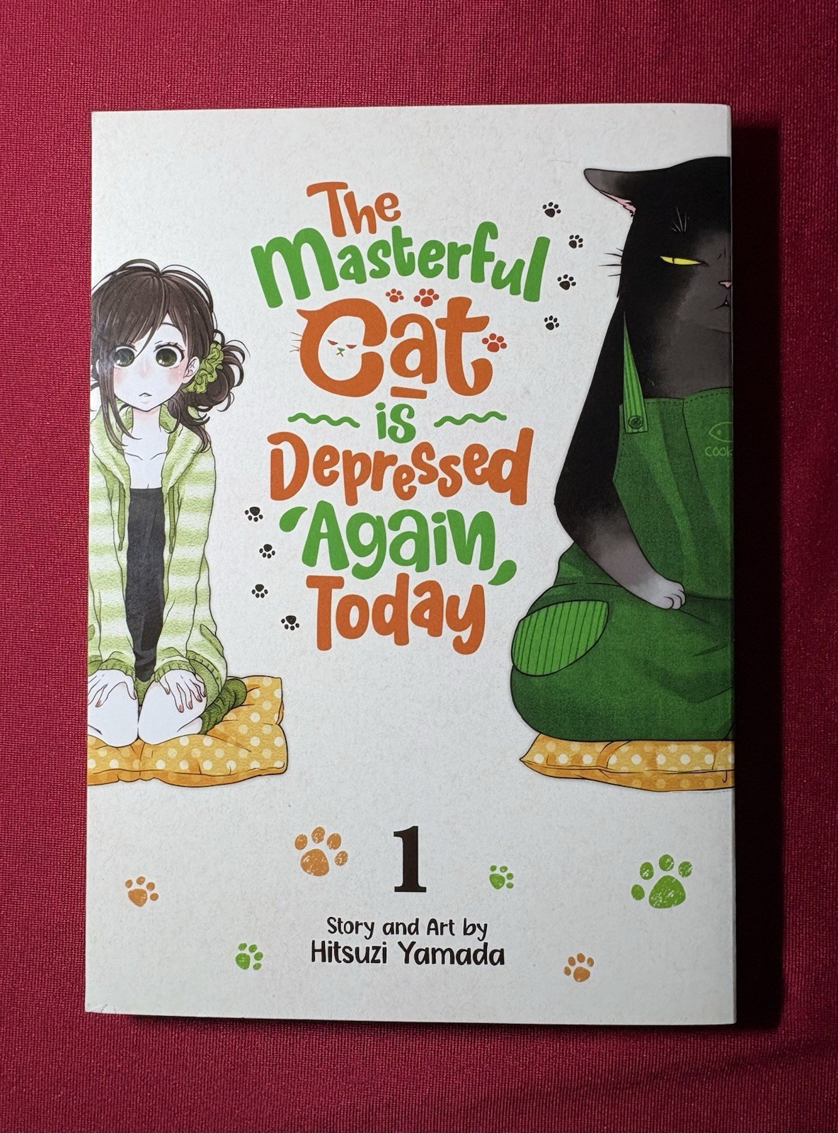 Il gatto magistrale è di nuovo depresso oggi, vol. 1, manga inglese 2021 non letto