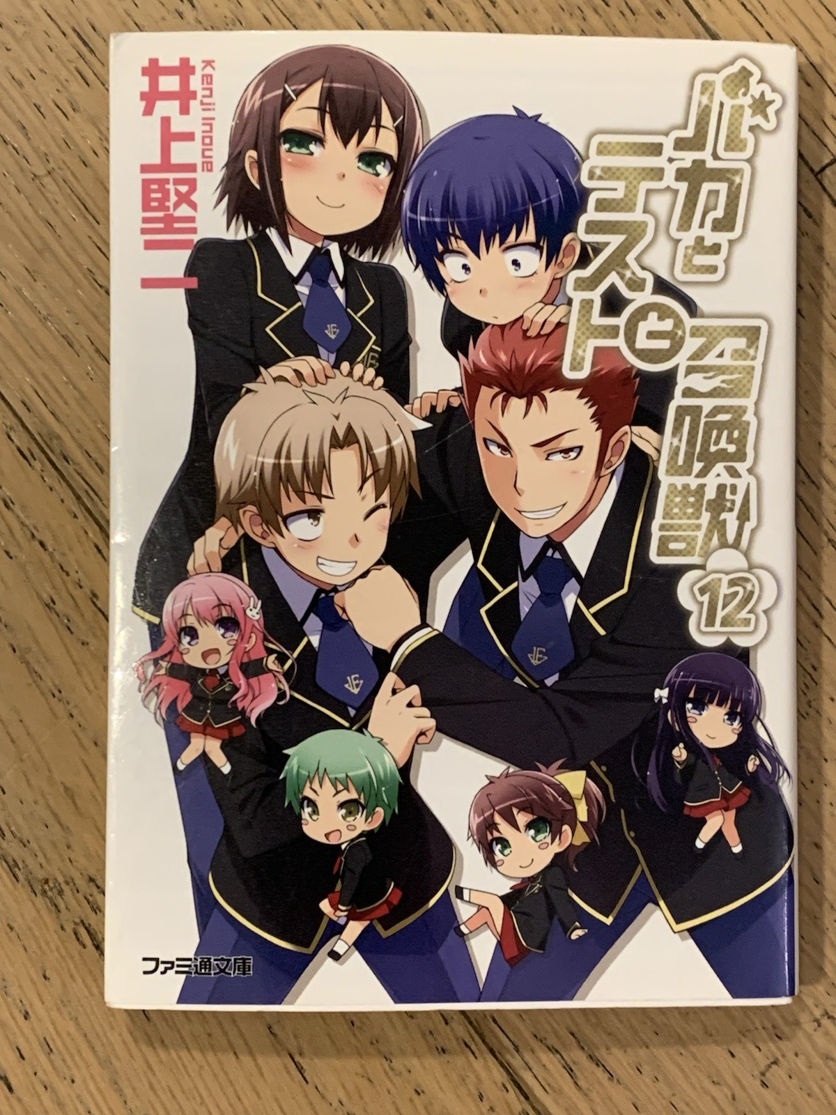 Baka e Test to Shōkanjū Vol 12