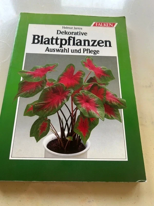 Dekorative Blattpflanzen
