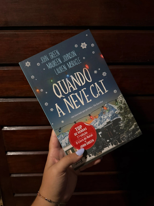 livro “quando a neve cai”