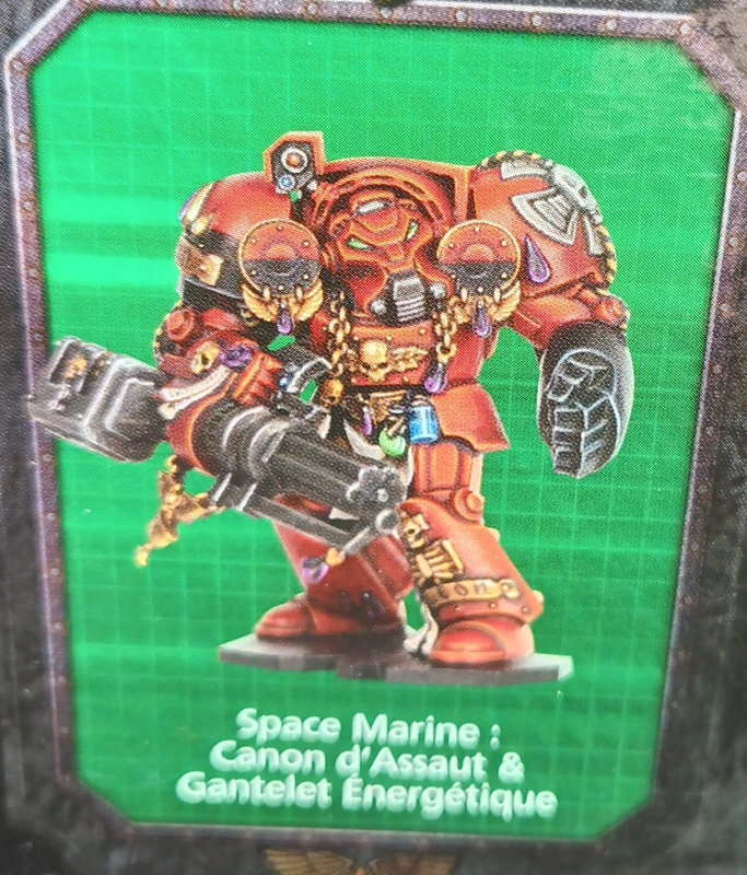 Terminator blood angel ( frère Leon )