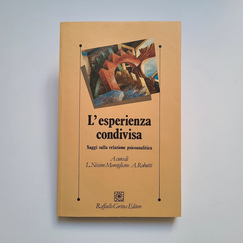 AAVV, "L'esperienza condivisa", ed. Raffaello Cortina, 1992