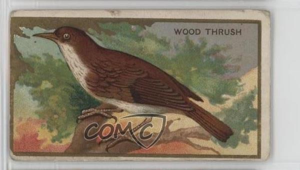 1910 ATC Bird Series T42 Mecca Factory 649 The Wood Thrush 0l4h