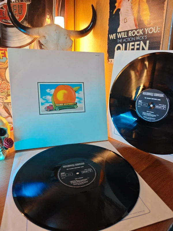 Vinyle The Allman Brothers Band