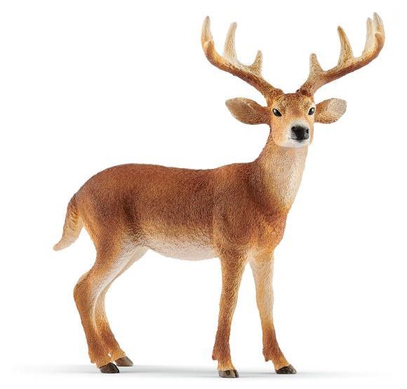SCHLEICH Schleich Figure  White-Tailed Buck (4")  Wild Life 14818 2019