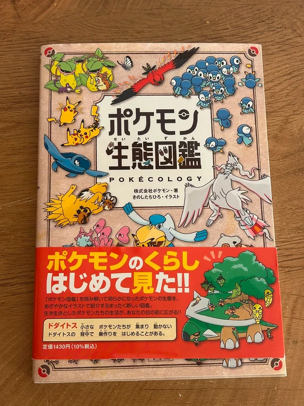 Livre guide des jeux Pokémon noir et blanc neuf