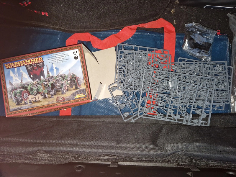 Warhammer Fantasy: Orc Warrior Regiment