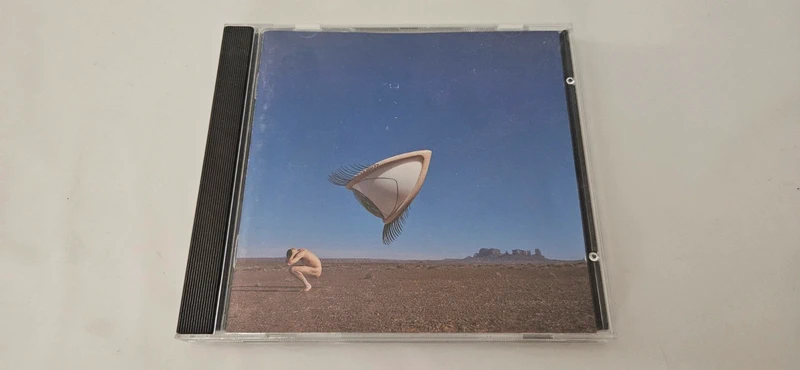 The Cranberries Bury The Hatchet Cd