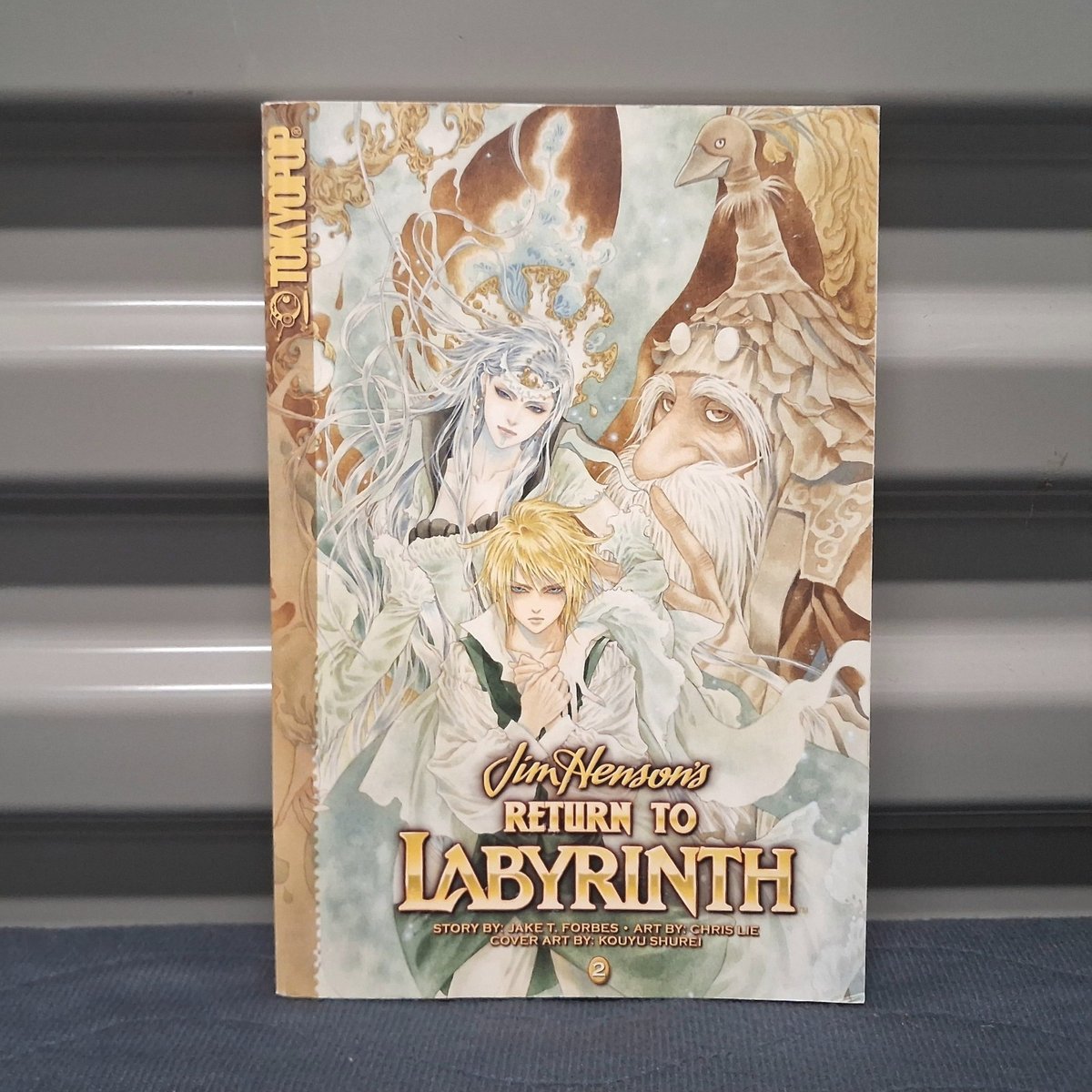 ​Ritorno al Labirinto Vol 2 Manga 2007 1° Edizione Prima Stampa TOKYOPOP