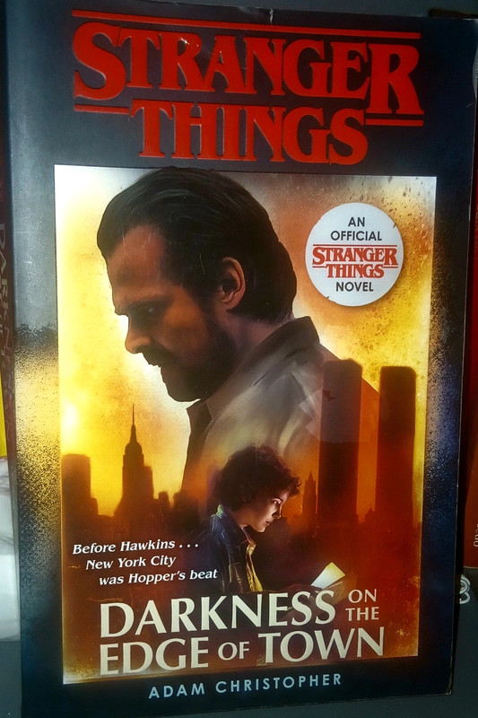 Livro Stranger Things