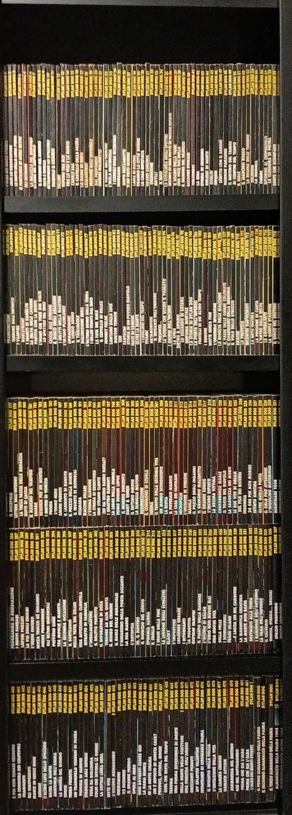 Dylan Dog collezione completa  1/481 +variant Leggere bene la descrizione