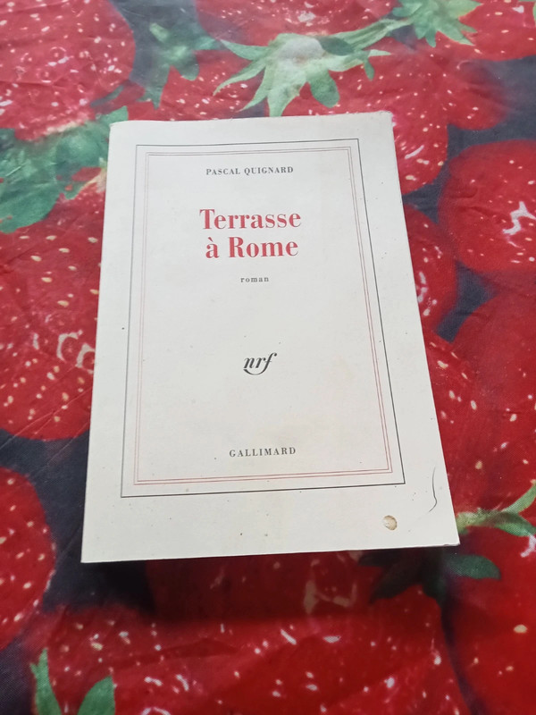 Livre de quignard terrasse à Rome