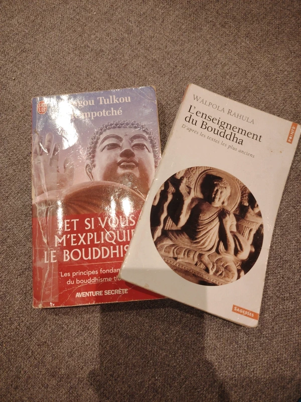 2 livres bouddhisme