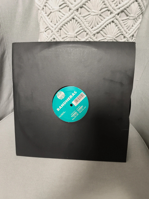 Dischi in vinile