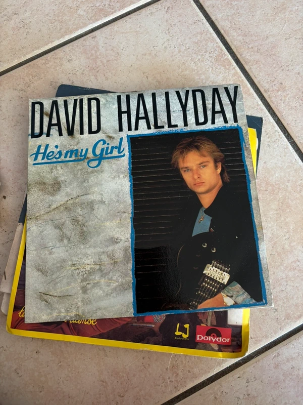 Vinyle David Hallyday
