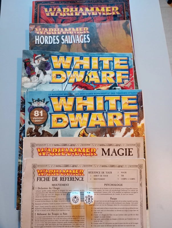 Lot Warhammer Fantasy Battle V6